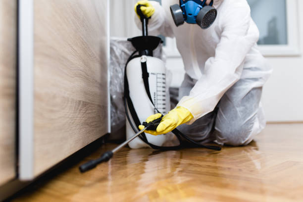 Best Affordable Pest Control Services  in Plymouth, CA