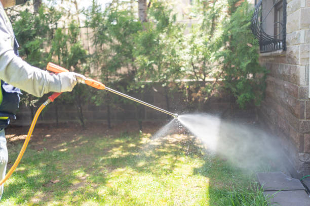 Best Pest Control for Homes  in Plymouth, CA